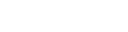 LowEndAI